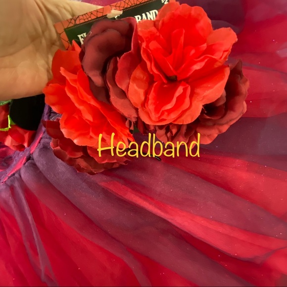 Weissman ballet costume “Bells of Notre Dame” Halloween Day of the Dead Dance - Picture 10 of 11